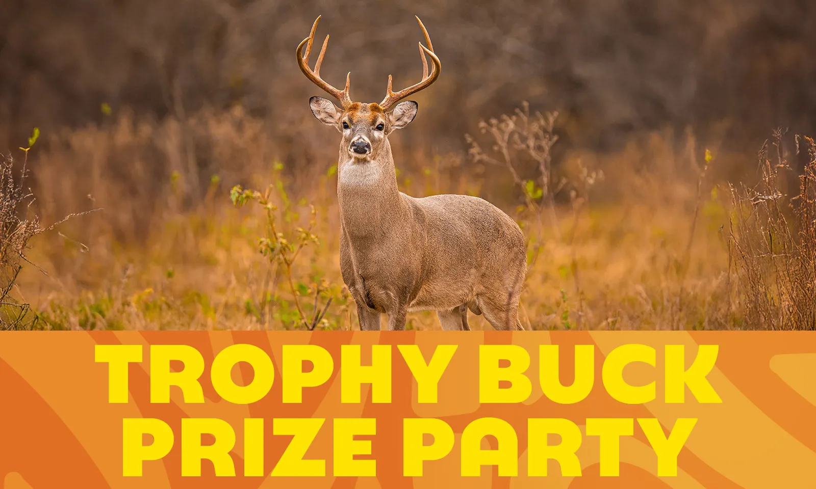 Trophy Buck