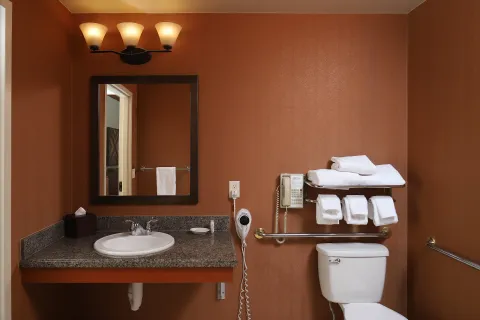 Courtyard Barrier Free King (Non Smoking) Bathroom