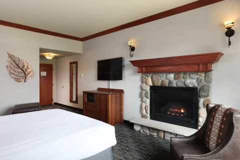 King Fire Place (Non Smoking) Fire