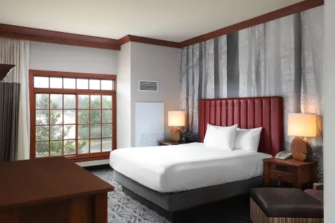 Barrier Free Suite with Balcony (Non Smoking)