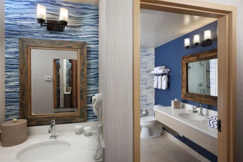 King Deluxe Bathroom 