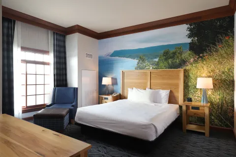 Barrier Free Suite