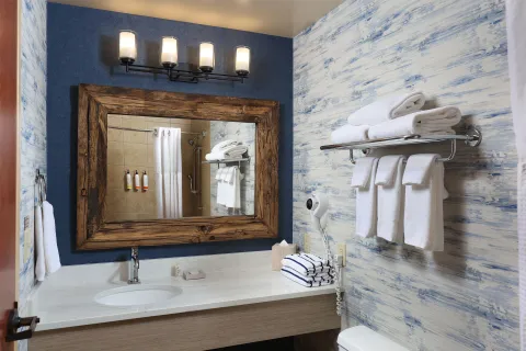 Suite Non Smoking Bathroom 