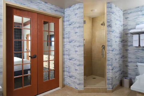 Deluxe Suite (Non Smoking) Shower 