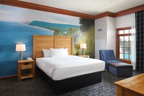 Deluxe Suite (Non Smoking) Bed