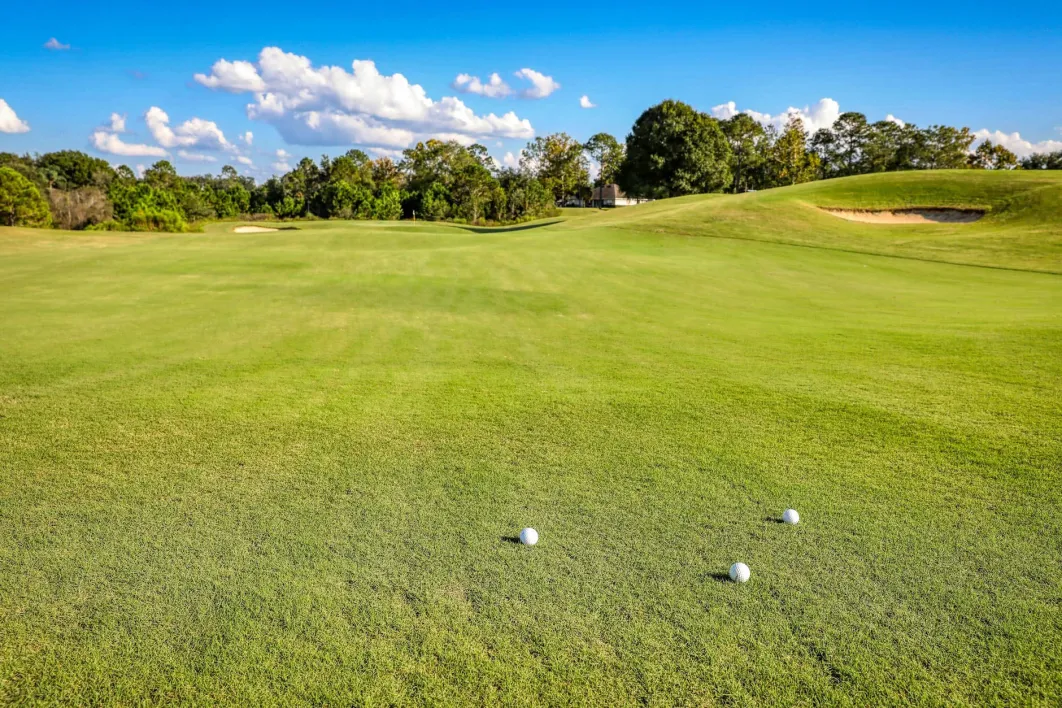 Three golf balls sitting on a golf course green